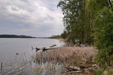 Wokół Jeziora Lusowskiego
