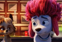Kino Sezamu: Wilk na 100%